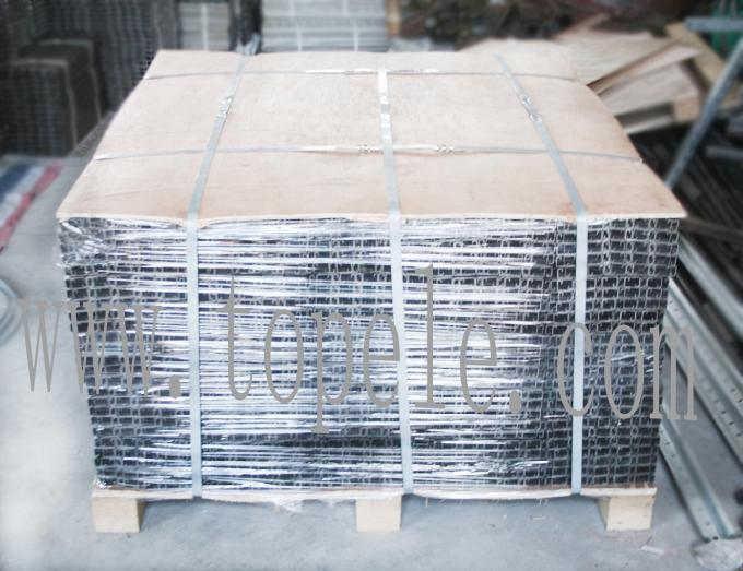 El puntal ranurado galvanizó el canal en forma de "U" 41X 41M M del sistema de apoyo